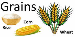 Grain