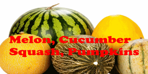 melons